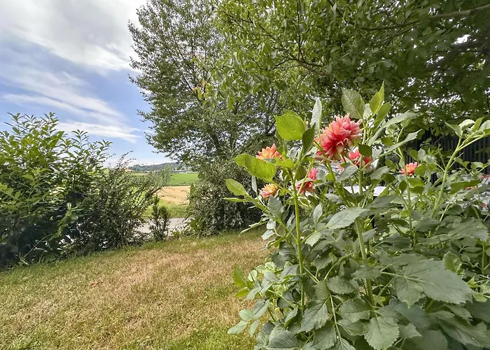 Zellner I Apartment Rohrnbach